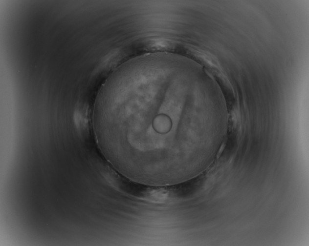 X0000093110423200710031319