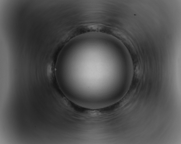 X0000093110424200710031319
