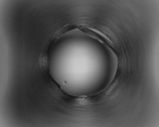 X0000093110425200710031319