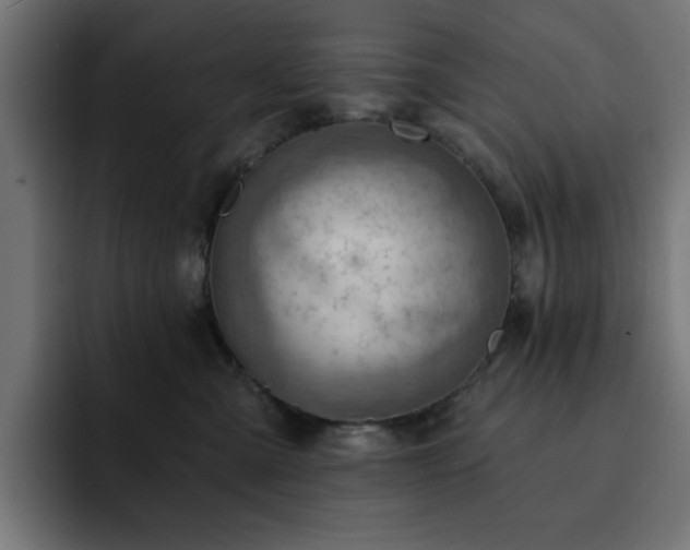 X0000093110427200710031319