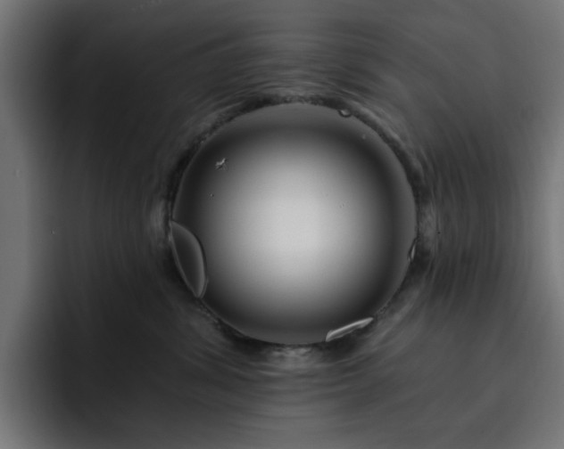 X0000093110428200710031319