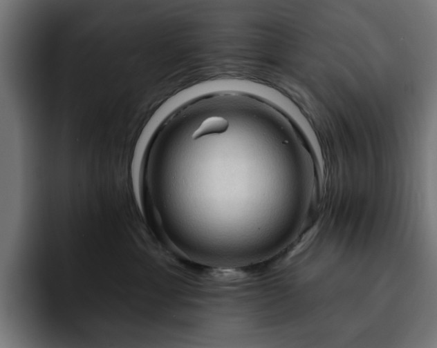 X0000093110429200710031319