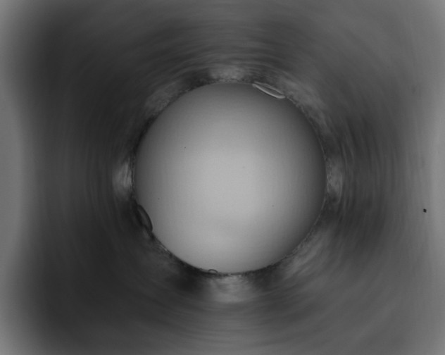X0000093110431200710031319
