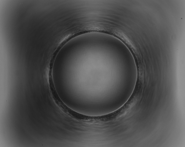 X0000093110434200710031319