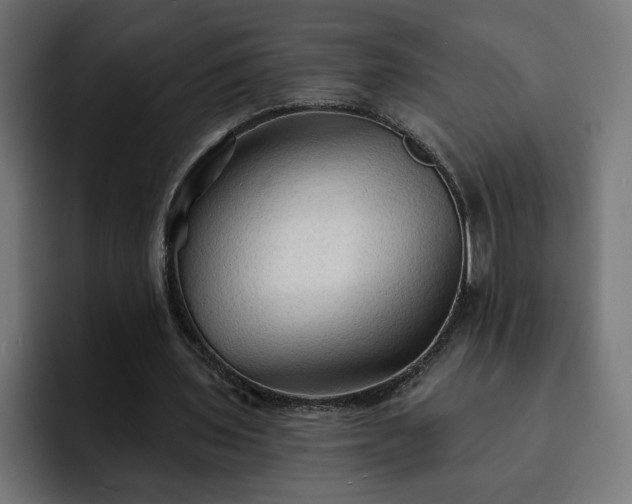 X0000093110435200710031319