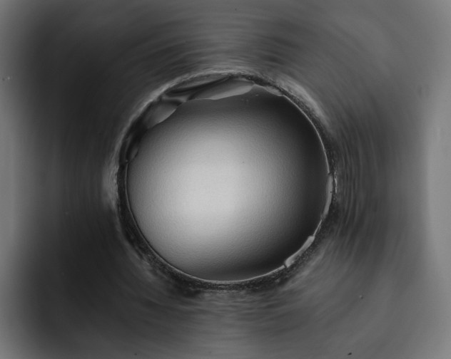 X0000093110436200710031319