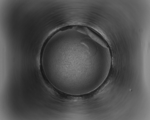 X0000093110438200710031319