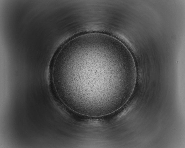 X0000093110439200710031319