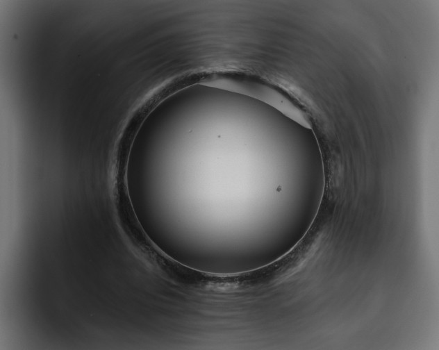 X0000093110440200710031319