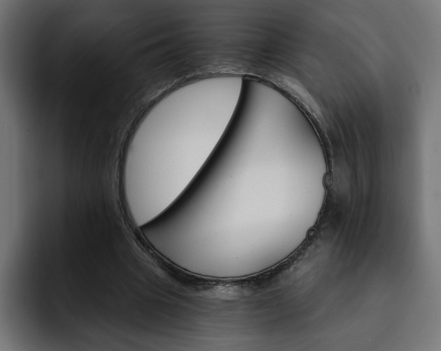 X0000093110441200710031319