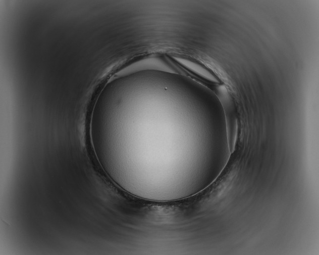 X0000093110442200710031319