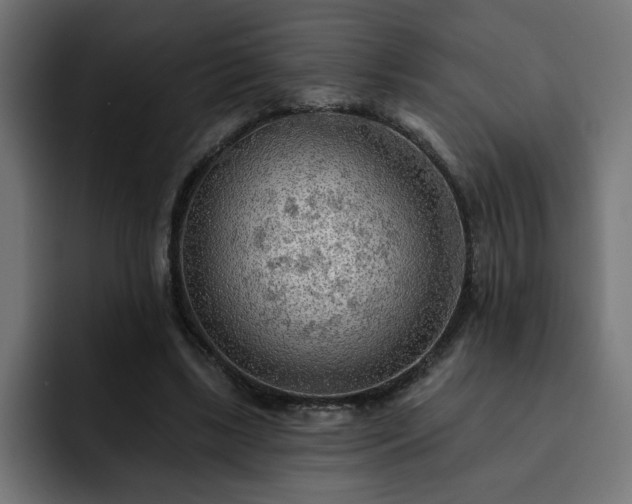 X0000093110443200710031319