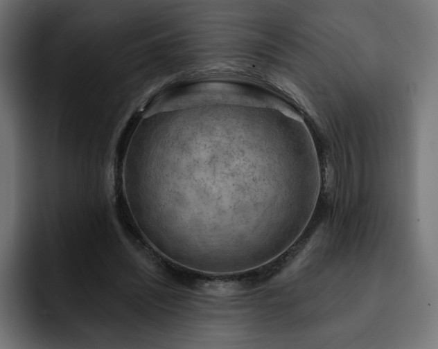 X0000093110444200710031319