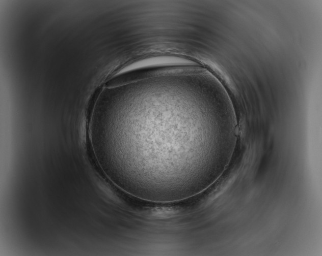 X0000093110445200710031319