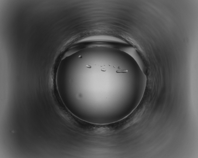 X0000093110446200710031319