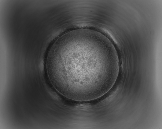 X0000093110447200710031319