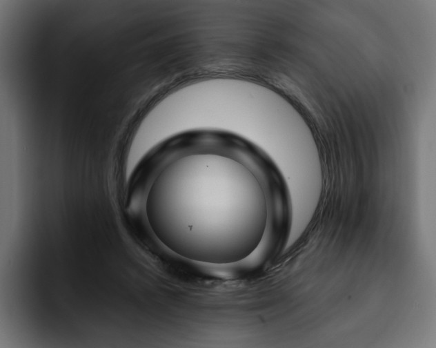 X0000093110448200710031319