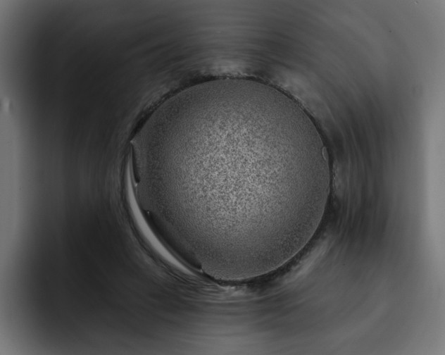 X0000093110449200710031319