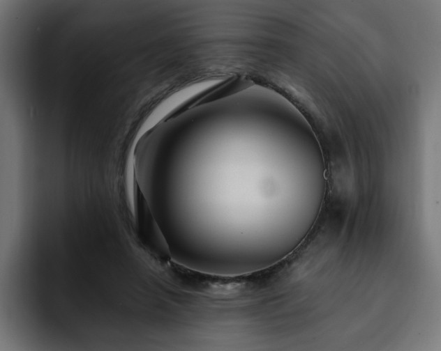 X0000093110450200710031319