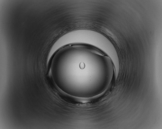 X0000093110452200710031319