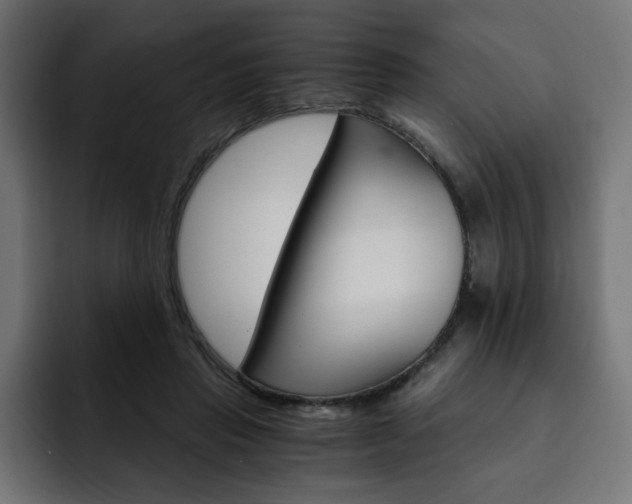 X0000093110453200710031319