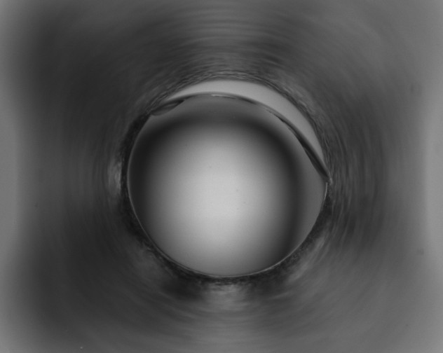 X0000093110454200710031319