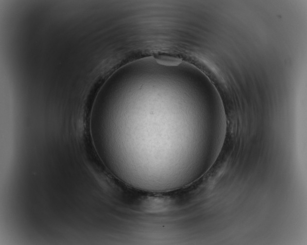 X0000093110455200710031319