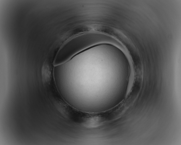 X0000093110456200710031319