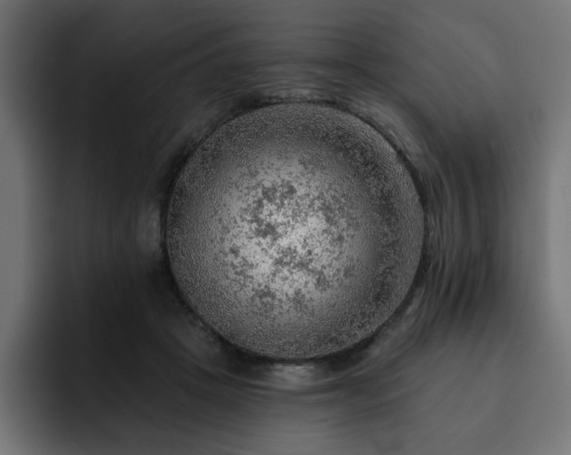 X0000093110457200710031319