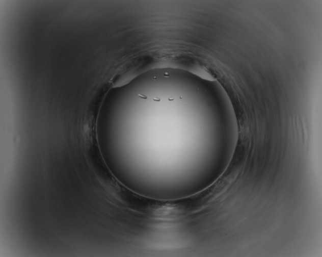 X0000093110460200710031319