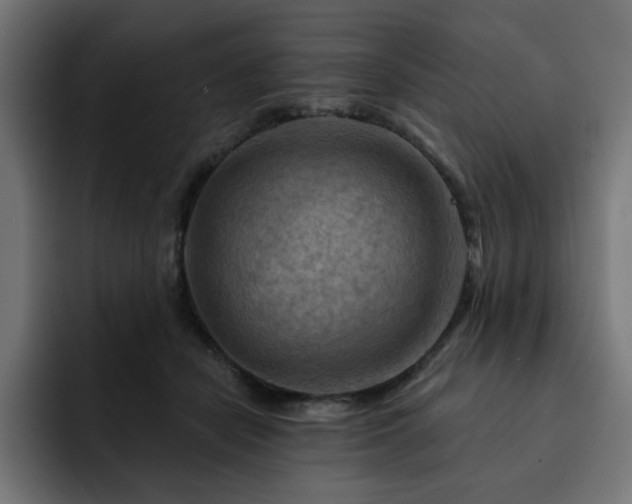 X0000093110462200710031319