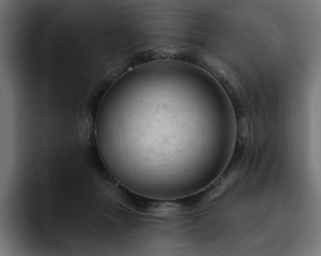 X0000093110463200710031319