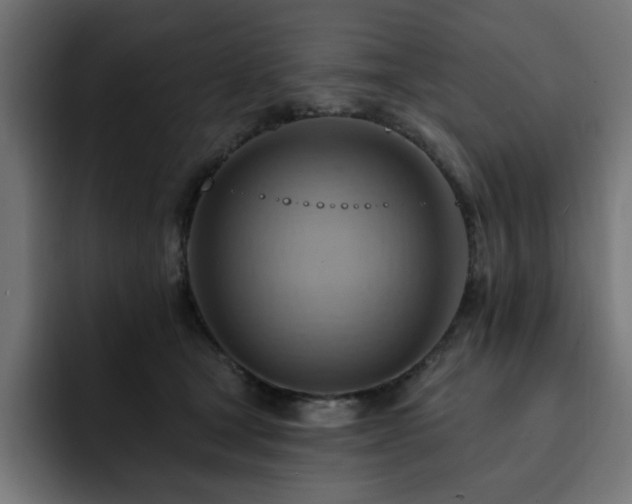 X0000093110465200710031319