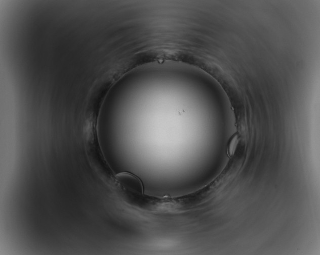 X0000093110468200710031319