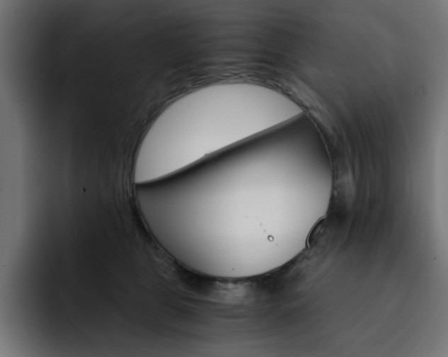 X0000093110469200710031319
