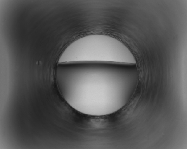 X0000093110470200710031319