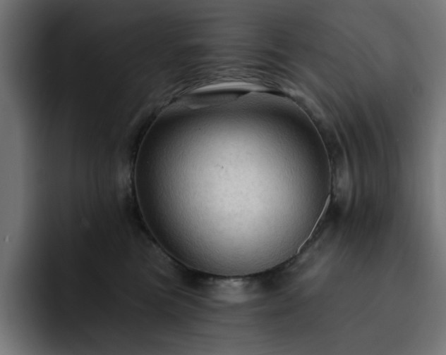 X0000093110473200710031319