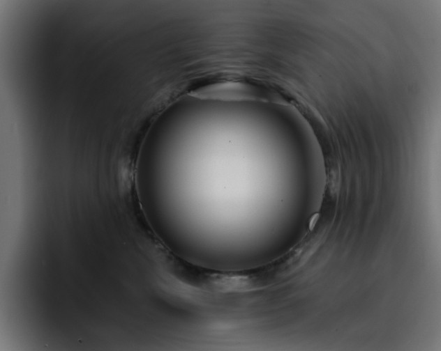 X0000093110476200710031319