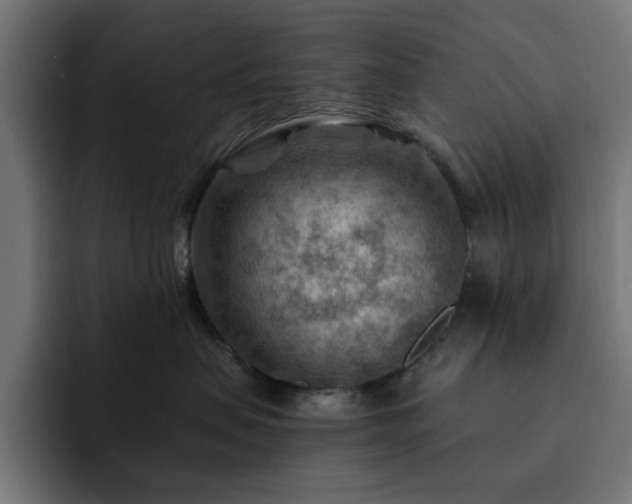X0000093110479200710031319