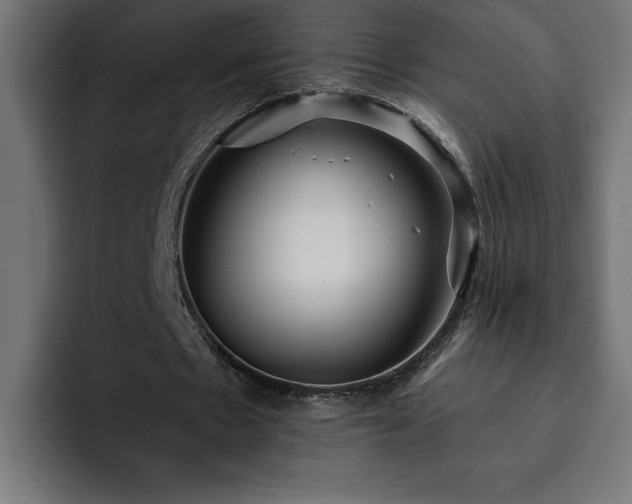 X0000093110481200710031319