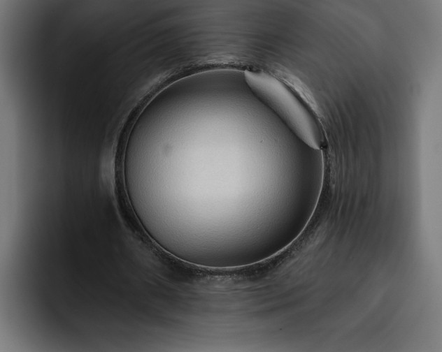 X0000093110482200710031319