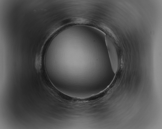 X0000093110484200710031319