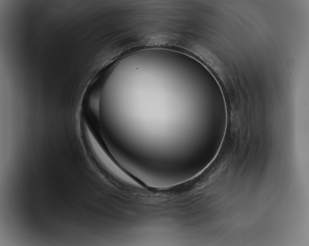 X0000093110485200710031319