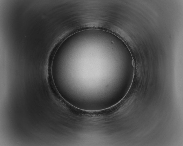 X0000093110486200710031319