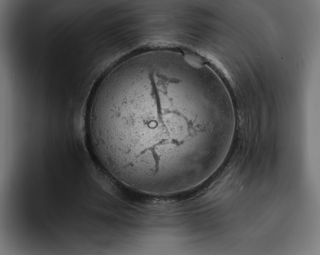 X0000093110487200710031319