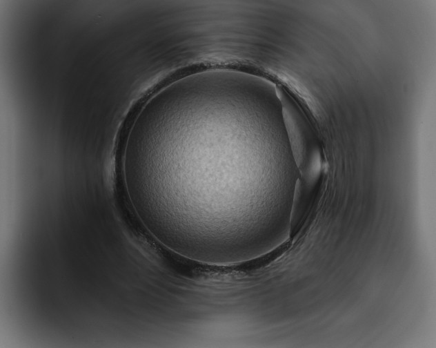 X0000093110488200710031319