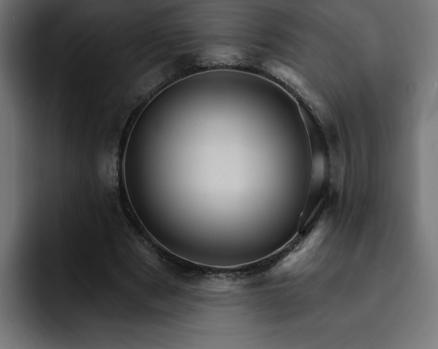 X0000093110489200710031318