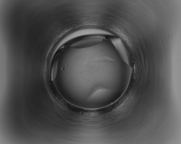 X0000093110492200710031318
