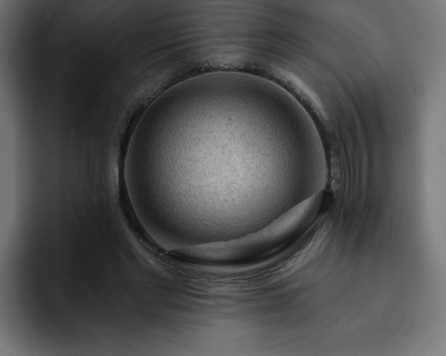 X0000093110493200710031318