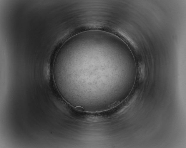 X0000093110494200710031318